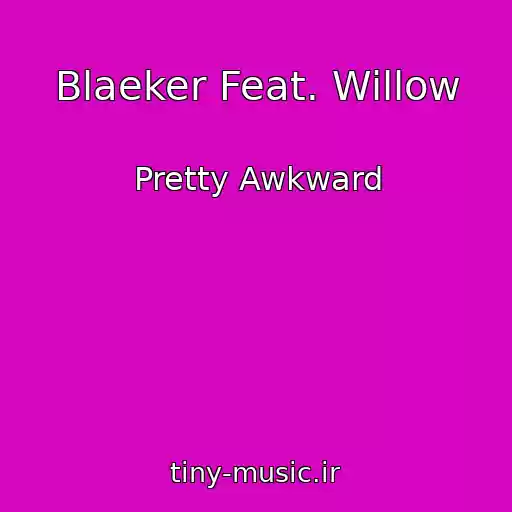 کاور آهنگ Blaeker Feat. Willow از Pretty Awkward