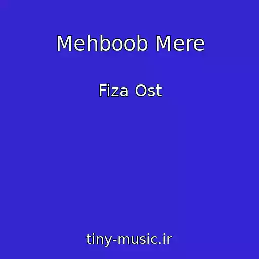 کاور آهنگ Mehboob Mere از Fiza Ost