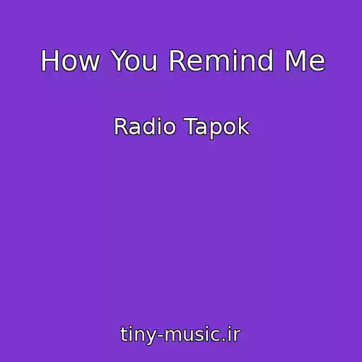 کاور آهنگ How You Remind Me از Radio Tapok