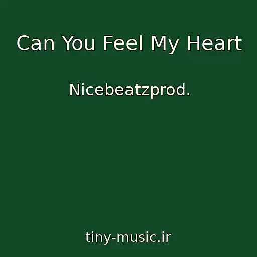 کاور آهنگ Can You Feel My Heart از Nicebeatzprod.