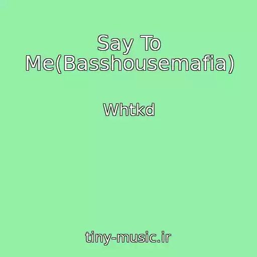 کاور آهنگ Say To Me(Basshousemafia) از Whtkd