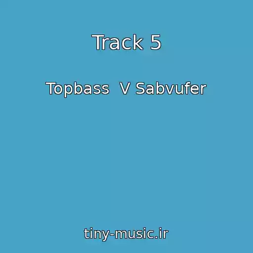 کاور آهنگ Track 5 از Topbass  V Sabvufer