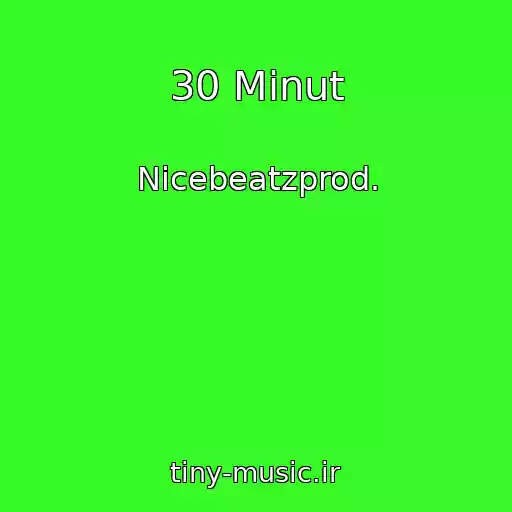 کاور آهنگ 30 Minut از Nicebeatzprod.