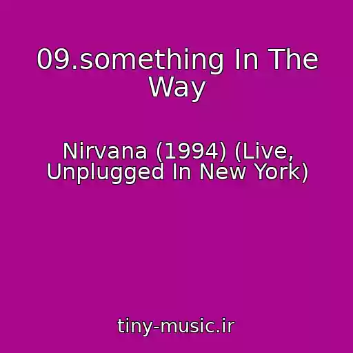 کاور آهنگ 09.something In The Way از Nirvana (1994) (Live, Unplugged In New York)