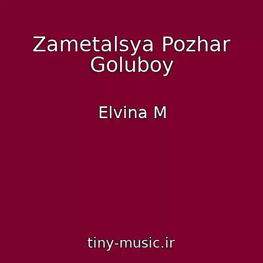 کاور آهنگ Zametalsya Pozhar Goluboy از Elvina M