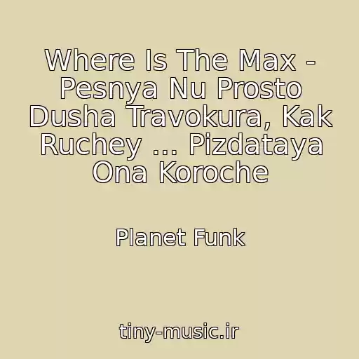 کاور آهنگ Where Is The Max - Pesnya Nu Prosto Dusha Travokura, Kak Ruchey ... Pizdataya Ona Koroche از Planet Funk