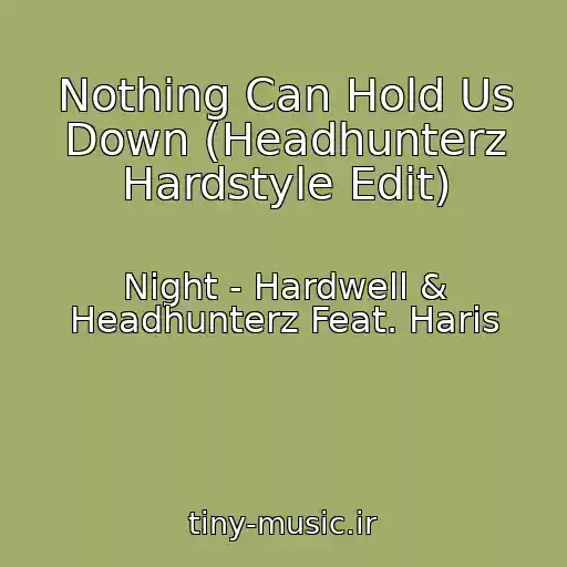 کاور آهنگ Nothing Can Hold Us Down (Headhunterz Hardstyle Edit) از Night - Hardwell & Headhunterz Feat. Haris
