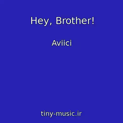 کاور آهنگ Hey, Brother! از Aviici