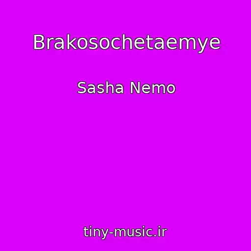 کاور آهنگ Brakosochetaemye از Sasha Nemo