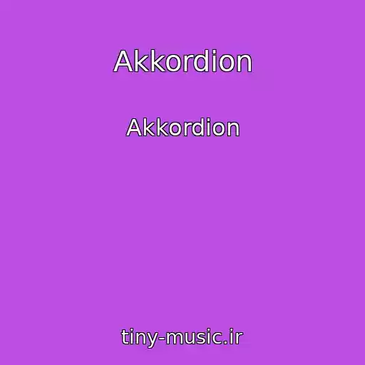 کاور آهنگ Akkordion از Akkordion