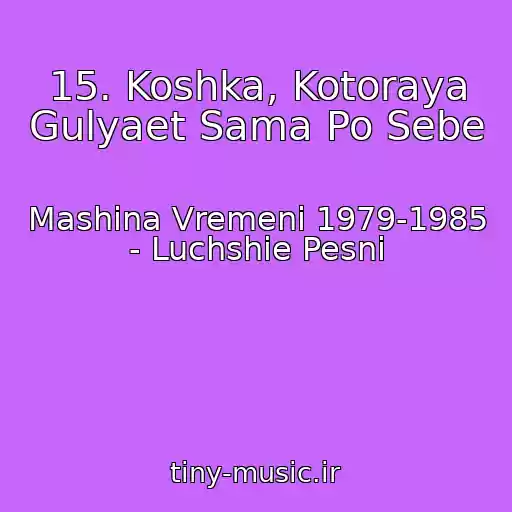 کاور آهنگ 15. Koshka, Kotoraya Gulyaet Sama Po Sebe از Mashina Vremeni 1979-1985 - Luchshie Pesni