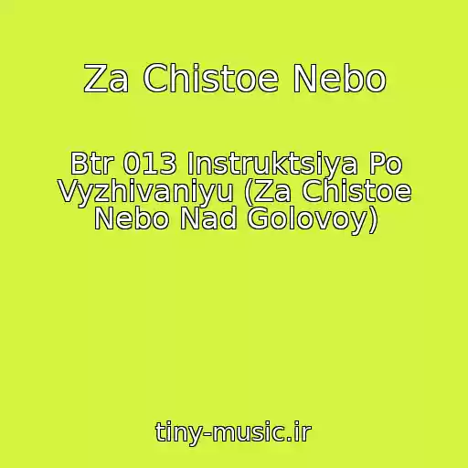 کاور آهنگ Za Chistoe Nebo از Btr 013 Instruktsiya Po Vyzhivaniyu (Za Chistoe Nebo Nad Golovoy)
