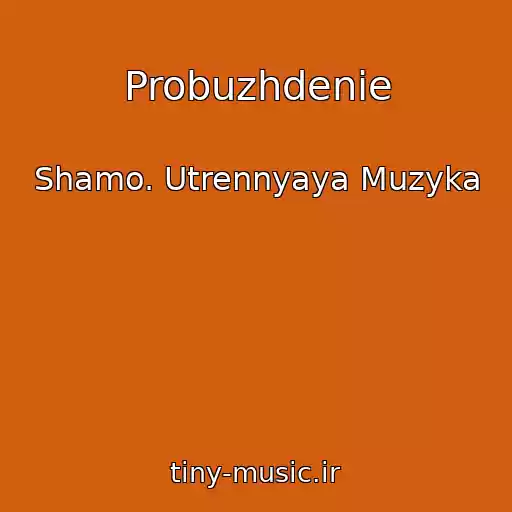 کاور آهنگ Probuzhdenie از Shamo. Utrennyaya Muzyka