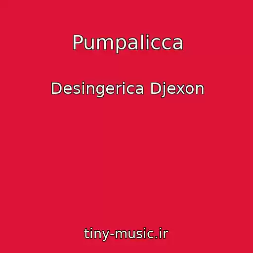کاور آهنگ Pumpalicca از Desingerica Djexon