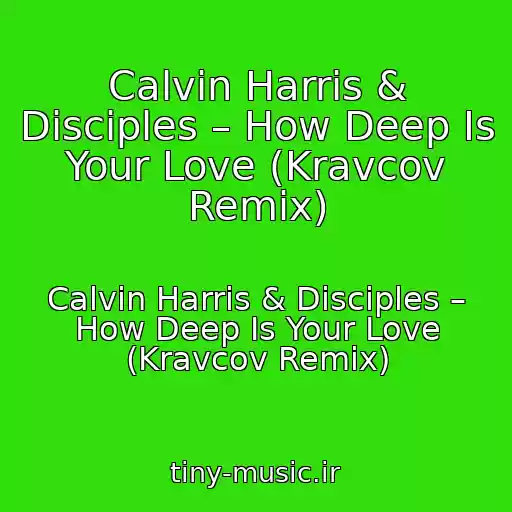 کاور آهنگ Calvin Harris & Disciples – How Deep Is Your Love (Kravcov Remix) از Calvin Harris & Disciples – How Deep Is Your Love (Kravcov Remix)