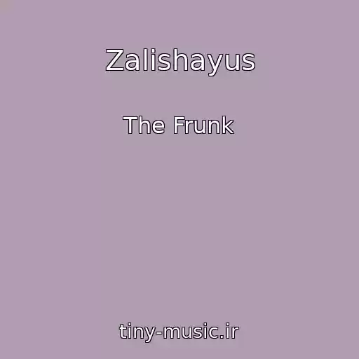 کاور آهنگ Zalishayus از The Frunk