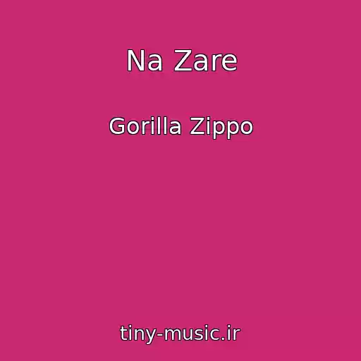 کاور آهنگ Na Zare از Gorilla Zippo