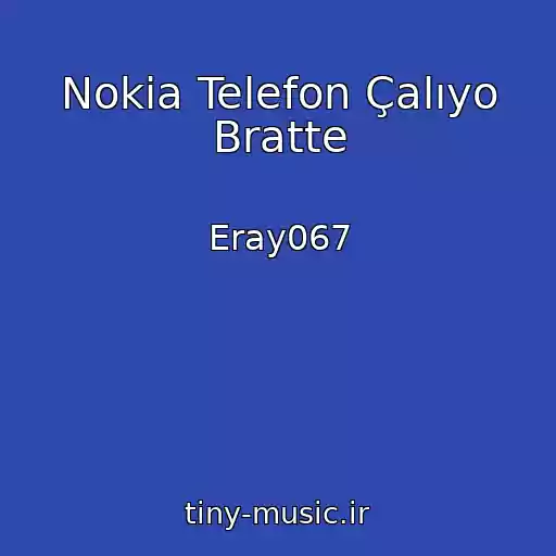 کاور آهنگ Nokia Telefon Çalıyo Bratte از Eray067