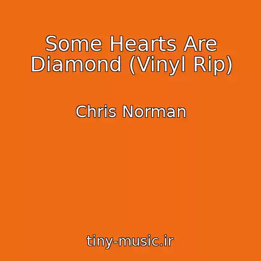 کاور آهنگ Some Hearts Are Diamond (Vinyl Rip) از Chris Norman