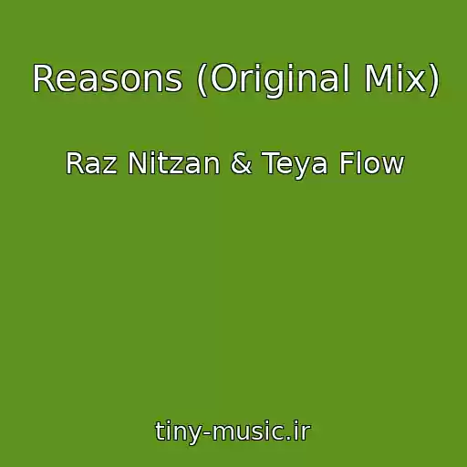 کاور آهنگ Reasons (Original Mix) از Raz Nitzan & Teya Flow