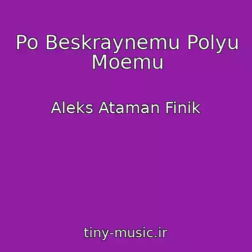 کاور آهنگ Po Beskraynemu Polyu Moemu از Aleks Ataman Finik