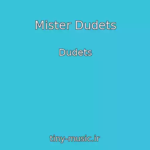 کاور آهنگ Mister Dudets از Dudets