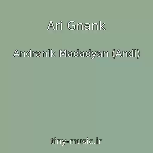 کاور آهنگ Ari Gnank از Andranik Madadyan (Andi)