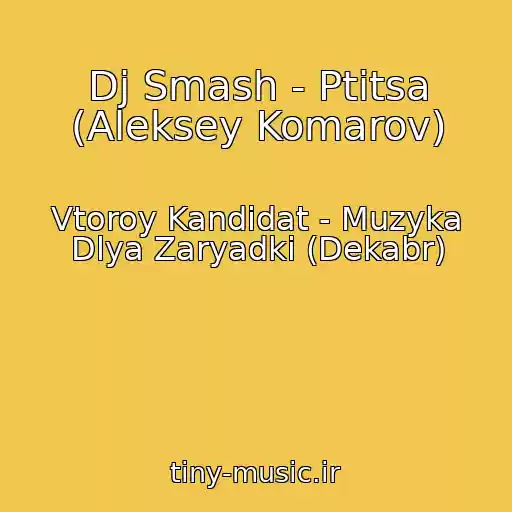 کاور آهنگ Dj Smash - Ptitsa (Aleksey Komarov) از Vtoroy Kandidat - Muzyka Dlya Zaryadki (Dekabr)