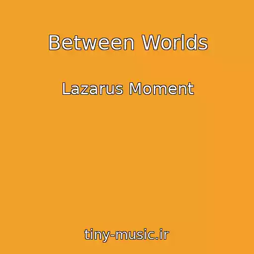 کاور آهنگ Between Worlds از Lazarus Moment