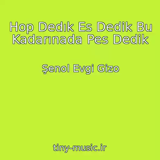 کاور آهنگ Hop Dedık Es Dedik Bu Kadarınada Pes Dedik از Şenol Evgi Gizo
