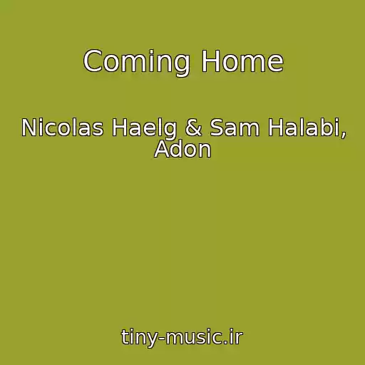 کاور آهنگ Coming Home از Nicolas Haelg & Sam Halabi, Adon