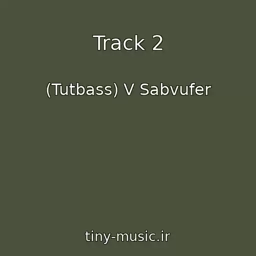 کاور آهنگ Track 2 از (Tutbass) V Sabvufer
