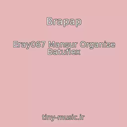 کاور آهنگ Brapap از Eray067 Mansur Organize Batuflex