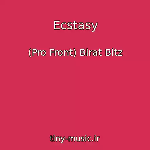 کاور آهنگ Ecstasy از (Pro Front) Birat Bitz