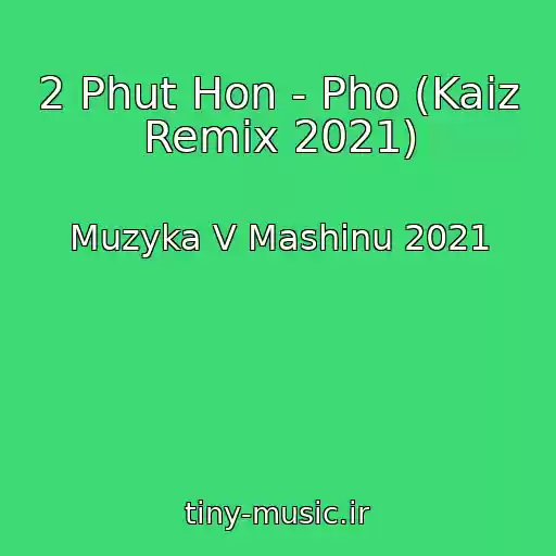 کاور آهنگ 2 Phut Hon - Pho (Kaiz Remix 2021) از Muzyka V Mashinu 2021