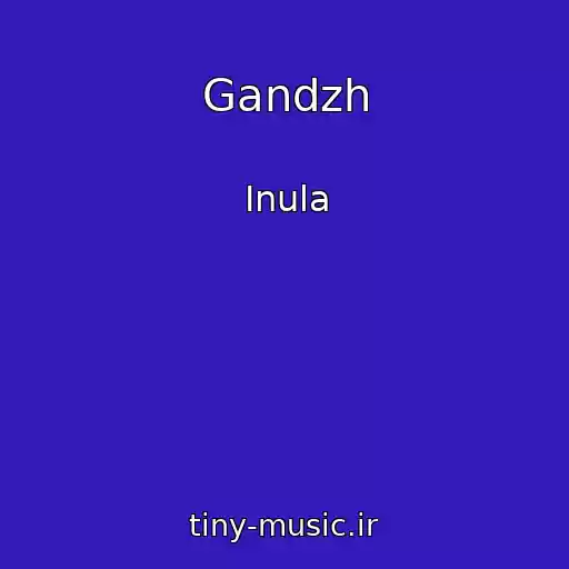 کاور آهنگ Gandzh از Inula