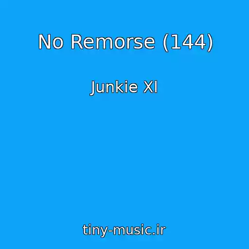 کاور آهنگ No Remorse (144) از Junkie Xl