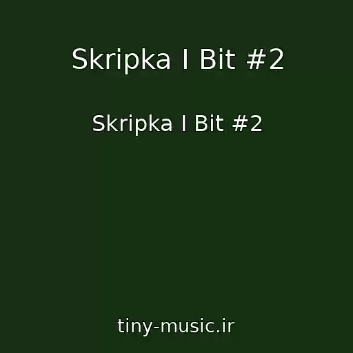 کاور آهنگ Skripka I Bit #2 از Skripka I Bit #2