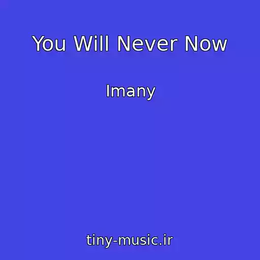 کاور آهنگ You Will Never Now از Imany