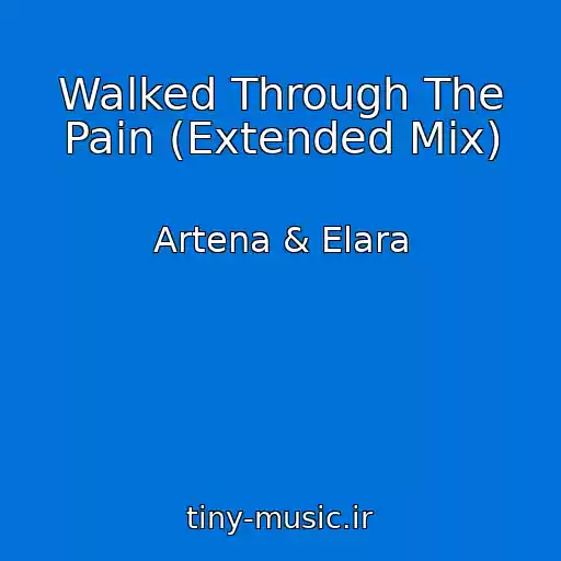 کاور آهنگ Walked Through The Pain (Extended Mix) از Artena & Elara