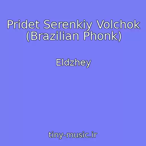 کاور آهنگ Pridet Serenkiy Volchok (Brazilian Phonk) از Eldzhey