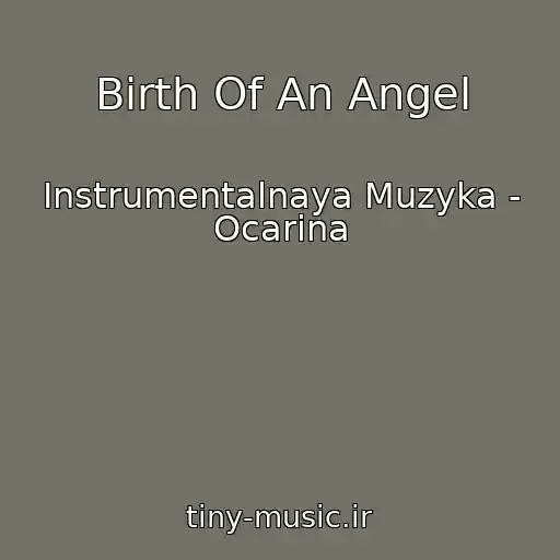 کاور آهنگ Birth Of An Angel از Instrumentalnaya Muzyka - Ocarina