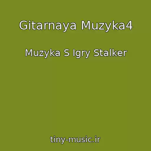 کاور آهنگ Gitarnaya Muzyka4 از Muzyka S Igry Stalker