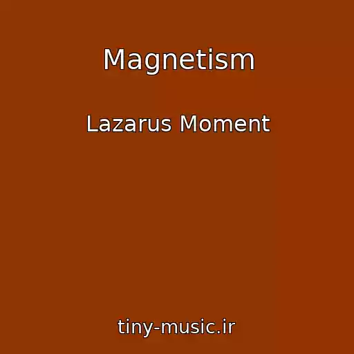 کاور آهنگ Magnetism از Lazarus Moment