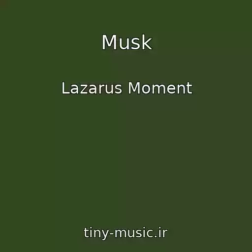 کاور آهنگ Musk از Lazarus Moment