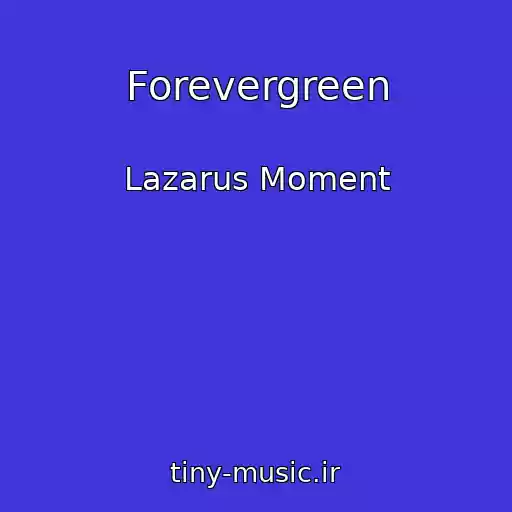کاور آهنگ Forevergreen از Lazarus Moment