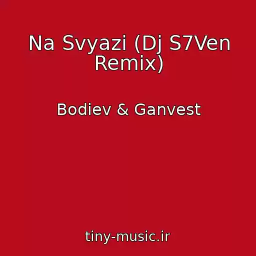 کاور آهنگ Na Svyazi (Dj S7Ven Remix) از Bodiev & Ganvest