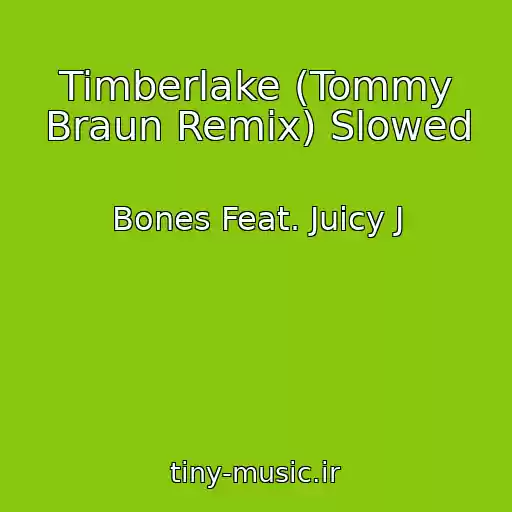 کاور آهنگ Timberlake (Tommy Braun Remix) Slowed از Bones Feat. Juicy J