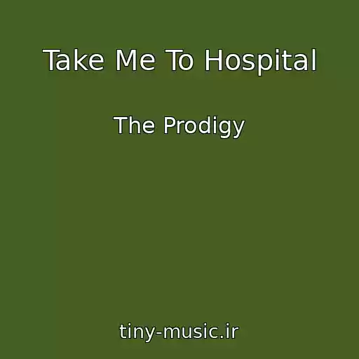 کاور آهنگ Take Me To Hospital از The Prodigy