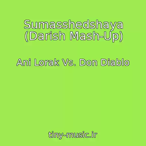 کاور آهنگ Sumasshedshaya (Darish Mash-Up) از Ani Lorak Vs. Don Diablo